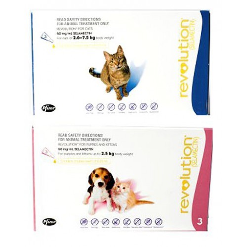 Revolution Flea & Worm Treatment for Cats Vebo Pet Supplies Australia