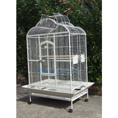 Bird cages in Australia