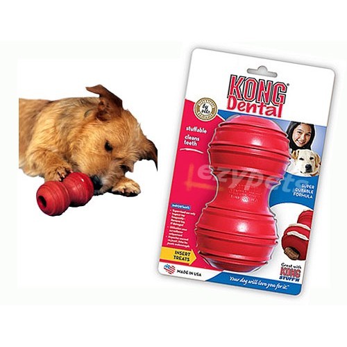 Kong Dental Dog Chew Toys for Sale Vebo Pet Supplies Australia