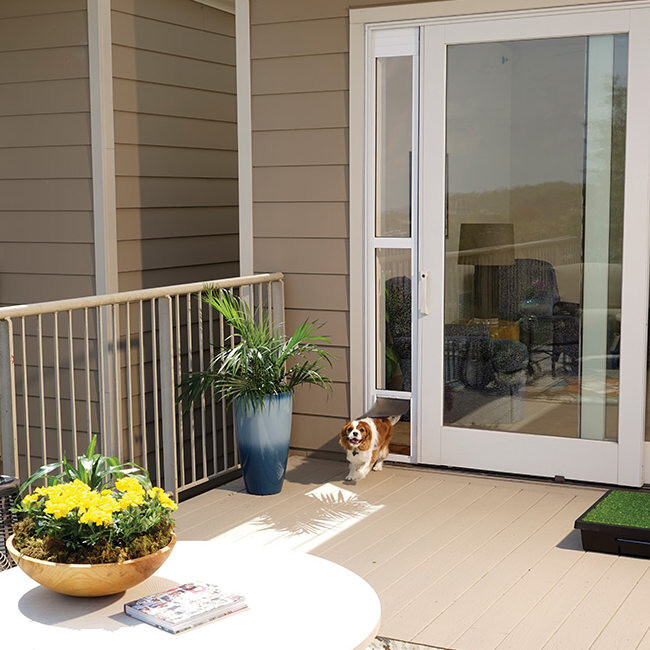 Petsafe Patio Dog Cat Doors Vebo Pet Supplies Australia