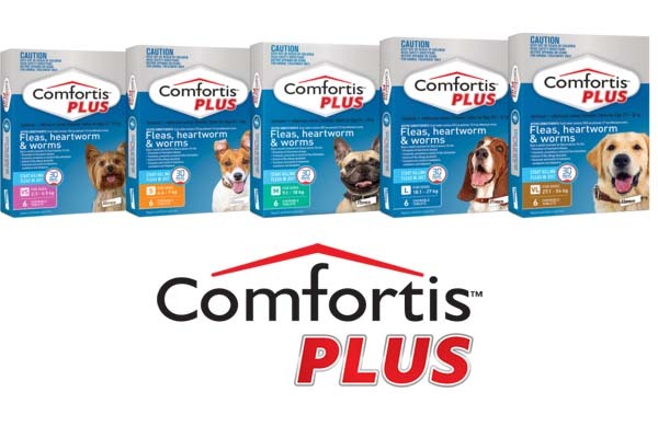 comfortis plus green best price