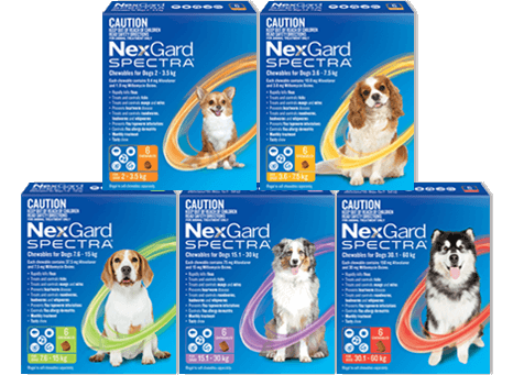 Nexgard Spectra Fleas, Ticks & Worms Treatment