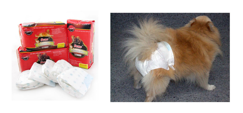 teacup puppy diapers