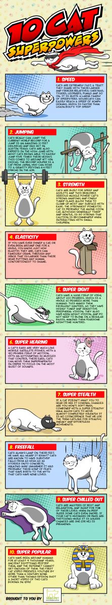 10 Cat Superpowers