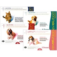 Revolution Flea and Heartworm Protection for Dogs