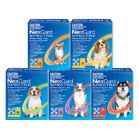 Nexgard Spectra All-in-one Fleas, Ticks & Worms Treatment