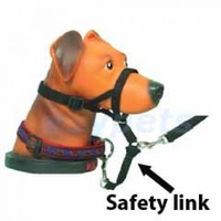 Halti-style Head Collar for Dogs