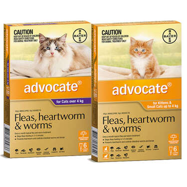 Advocate Flea and Heartworm Protection for Cats (Purple)