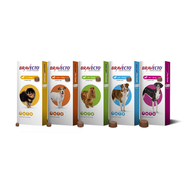 Bravecto Flea and Tick Chewable Tablets for Dog (Small | 4.5kg -10kg)