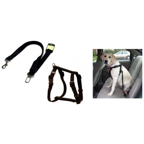 Car Seat Belt Leash and Harness Set for Dog (Small | Black)