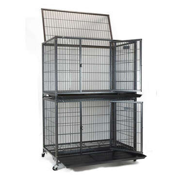 double decker dog crate