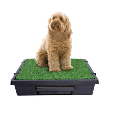 PetSafe Pet Loo Portable Dog Toilet Tray (Medium)